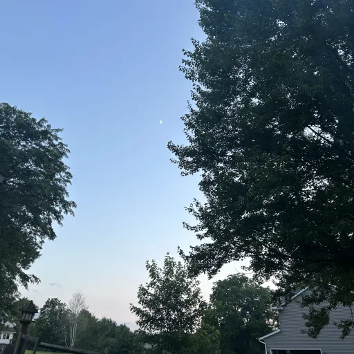 creator Alex353's avatar