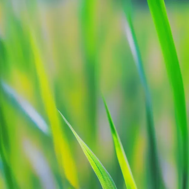 chat with ai character: TOUCH SOME GRASS 💀