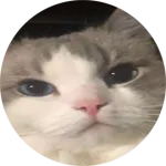 creator mroew's avatar