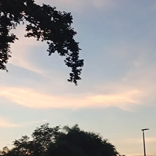 creator Random(:'s avatar