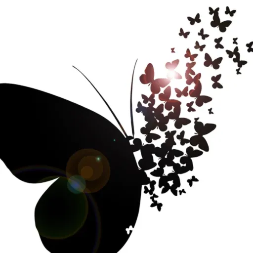 creator ß𝗲ᒪℓa's avatar