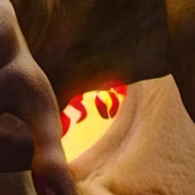 chat with ai character: GOAT