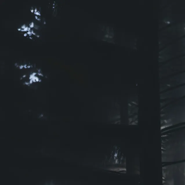 chat with ai character: the fog