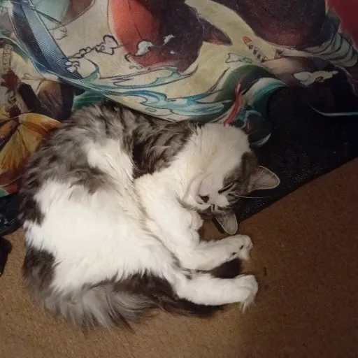 talkie's author avatar