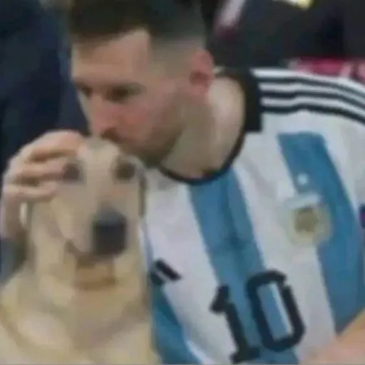 creator binged chilling's avatar