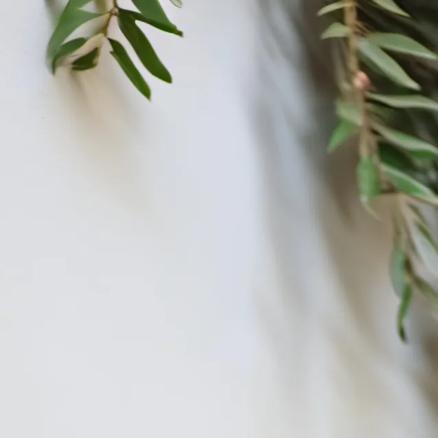 chat with ai character: caitlin