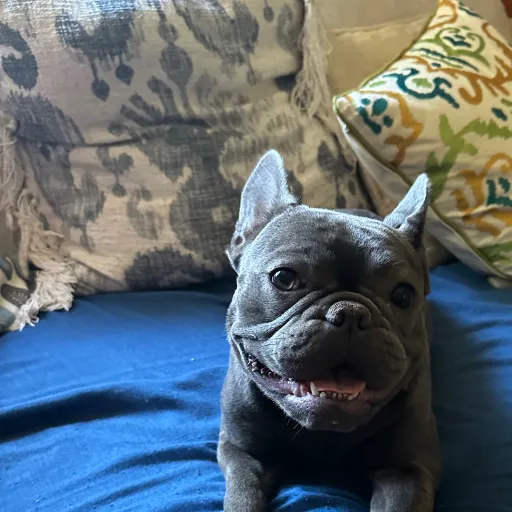 creator Sebbyy43's avatar