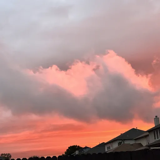 creator Im_bored 😾🤓's avatar