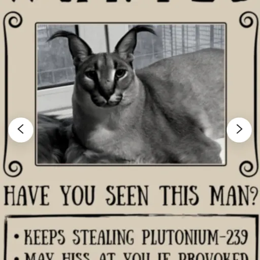 creator FLOPPA10's avatar