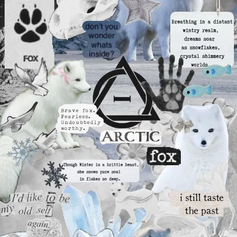 creator ~|CharlieOnPawz|~'s avatar