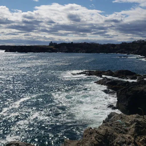 creator tappy12334_'s avatar