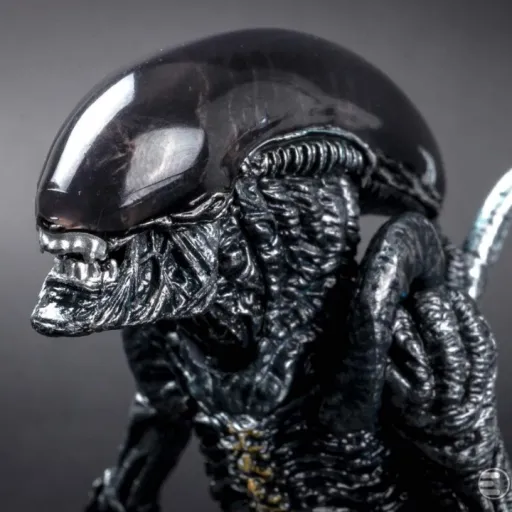 creator Xenomorph l's avatar