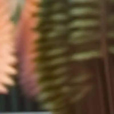 chat with ai character: Your Lamborghini 