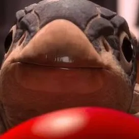 creator m4y6en's avatar