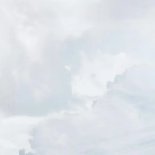 creator •~Muichiro_Simp~•'s avatar