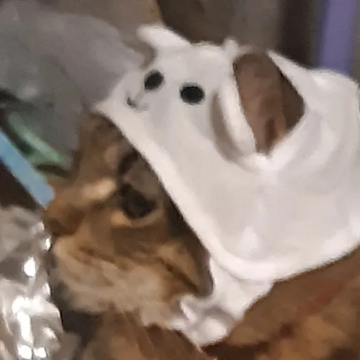 creator 💫💫JaVa😺😺😺's avatar