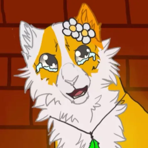 creator Benny the cat's avatar