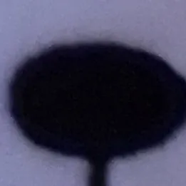 creator Talkior-WVHrnyf8's avatar