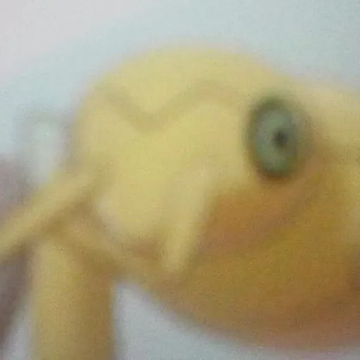 creator Michael101's avatar