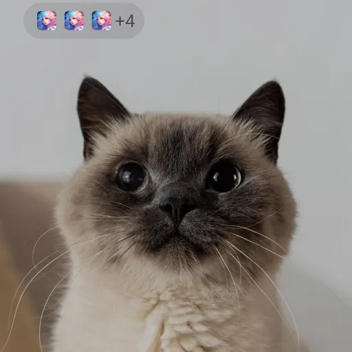 creator always be yourself's avatar