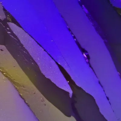 chat with ai character: Nala