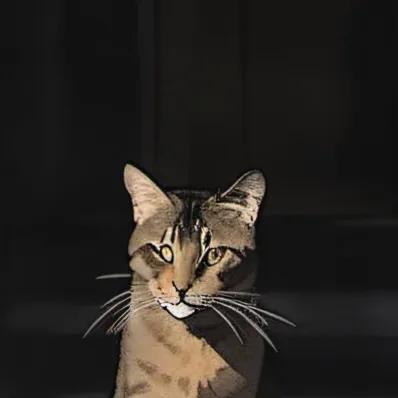 chat with ai character: Cupcake