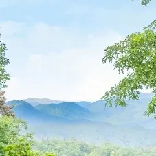 creator |°•.Vęłvėt.•°|'s avatar