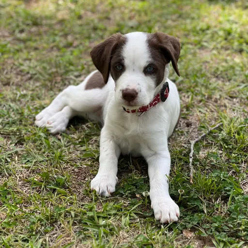 creator ✨WEIRDO✨'s avatar