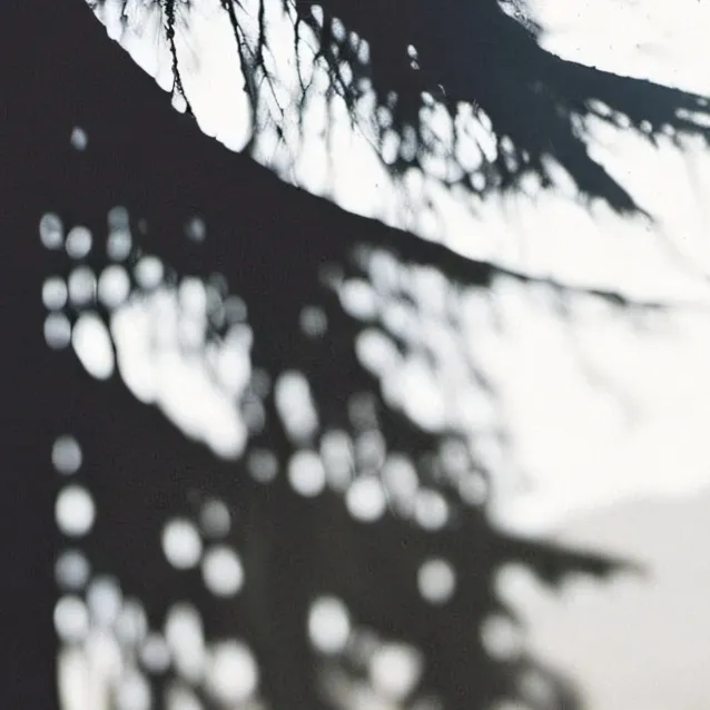 chat with ai character: Rose Allen 