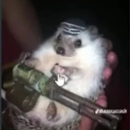 creator Roosterlamb66's avatar