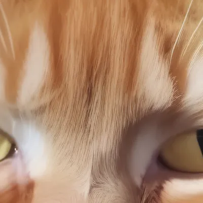 chat with ai character: Spider 