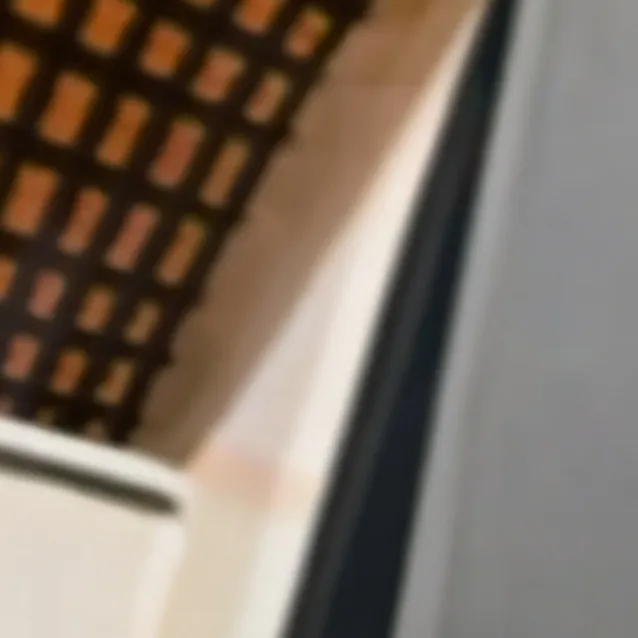 chat with ai character: Brother Cicada