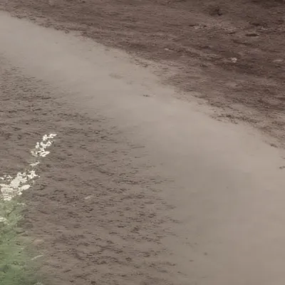 chat with ai character: GRASS 