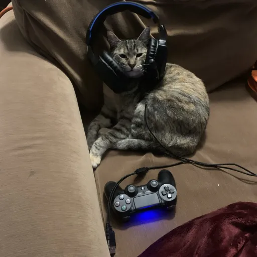 creator Cats4life-2's avatar