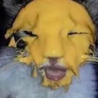 creator Quilbe's avatar