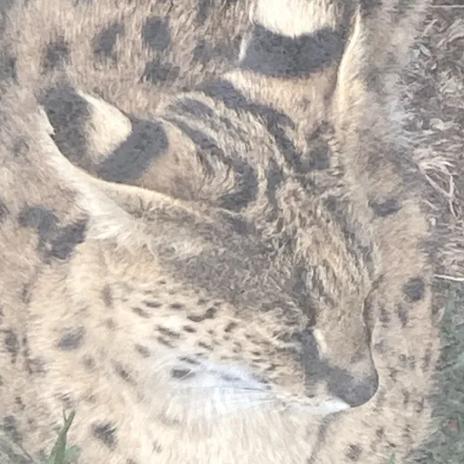 creator Talkior-ueqAyajs's avatar