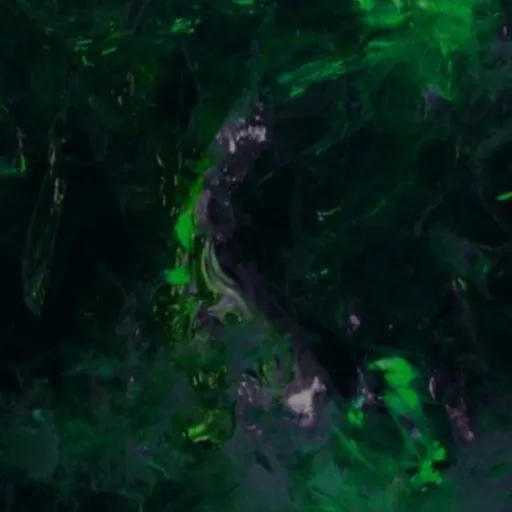 creator ☆hush☆'s avatar