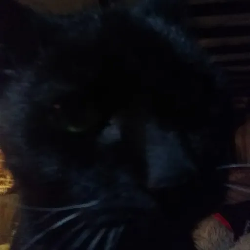 creator 1912slover's avatar