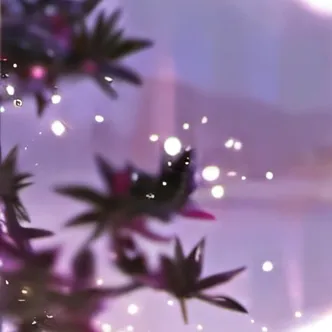 chat with ai character: Haru (Farmer boy)