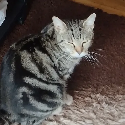 creator Sonuc fan's avatar