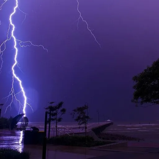 creator Halie Burns's avatar