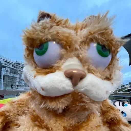 talkie's author avatar