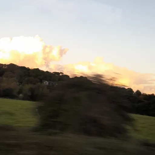 creator Nevadə's avatar