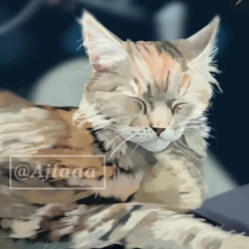 talkie's author avatar