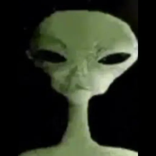 creator Bruh what the's avatar