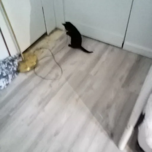 creator Me and my sis.'s avatar