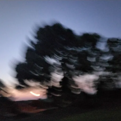 creator •D3pressedPancake•'s avatar