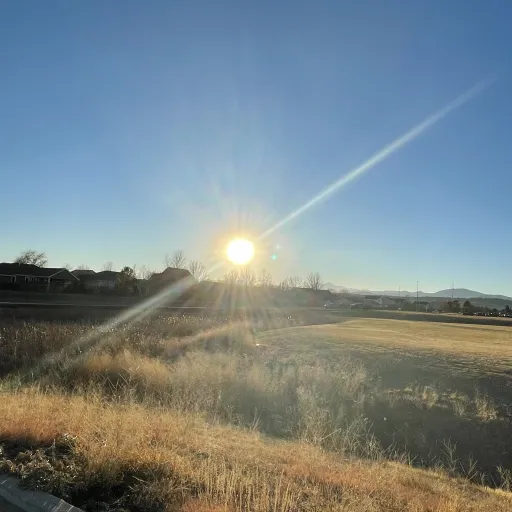 creator Ermsssssis's avatar