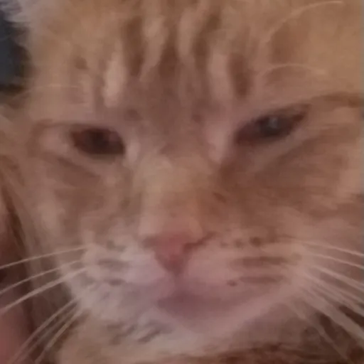 creator erose_10's avatar