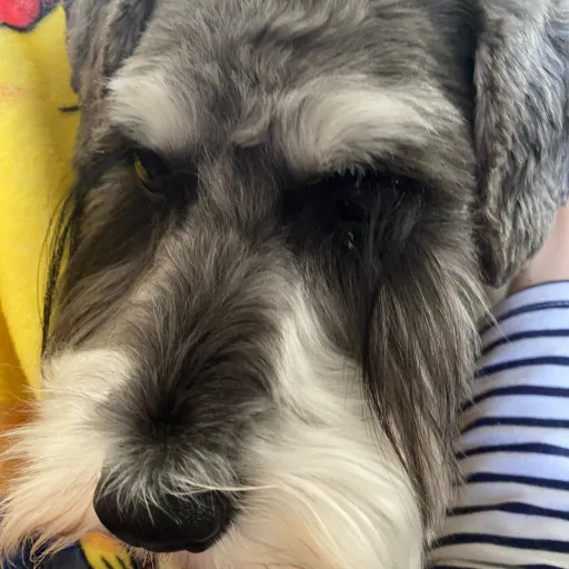 creator Stargaze123's avatar